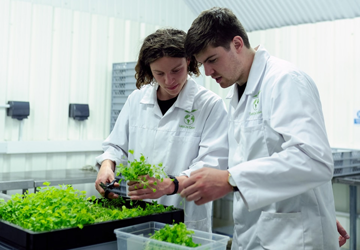 Bachelor Executive in Sustainability Agrotechnology